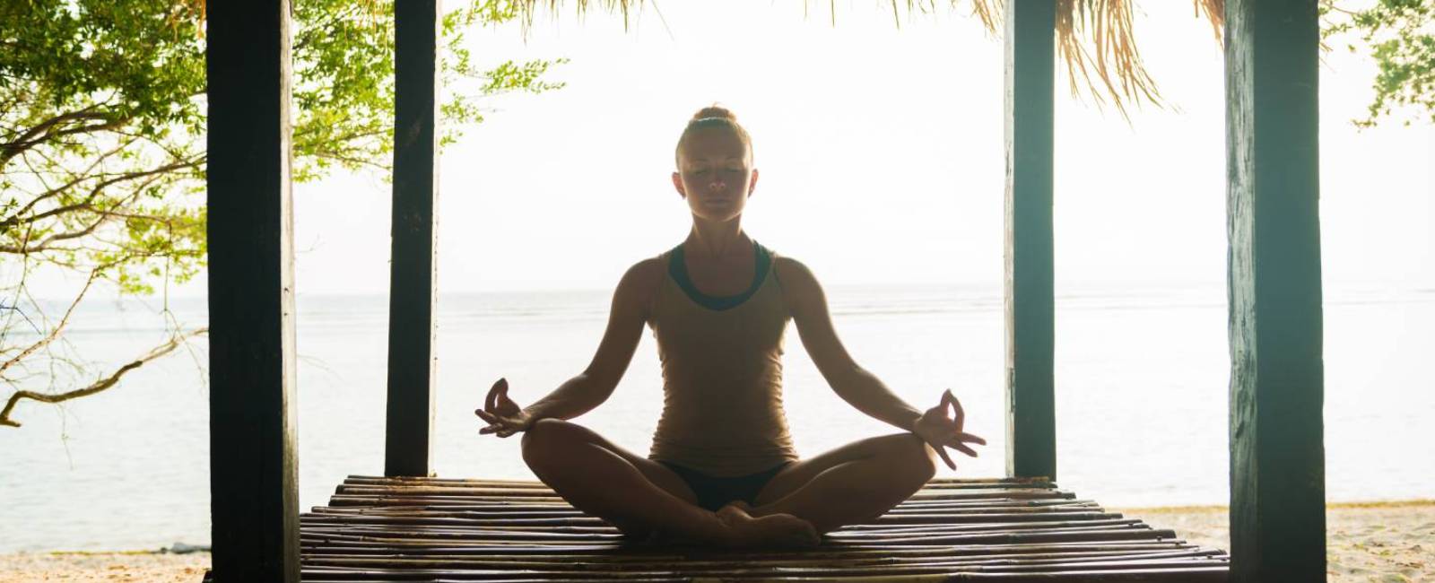 Yoga Teacher Training Course Goa